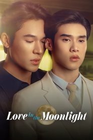 Love in the Moonlight