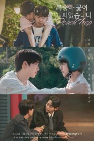 Peach Trap Capitulo 4